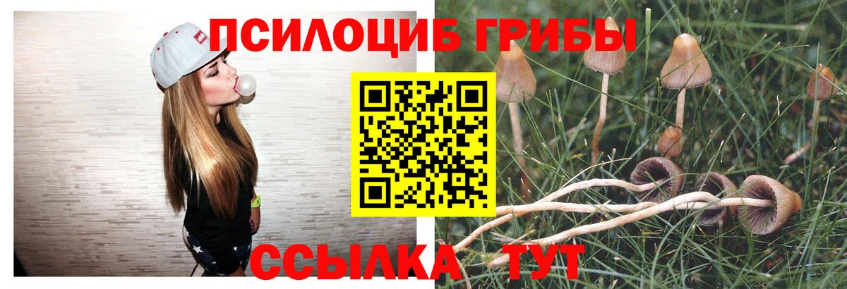 Псилоцибиновые грибы Psilocybine cubensis  Вход с VPN  Нефтекамск 